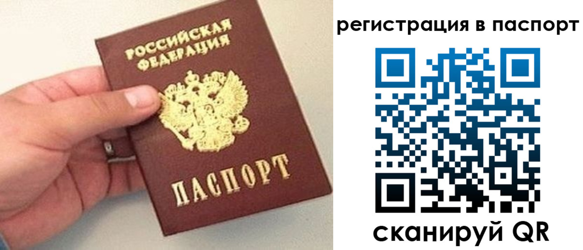 прописка законно в Порхове